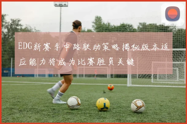 EDG新赛季中路联动策略揭秘版本适应能力将成为比赛胜负关键